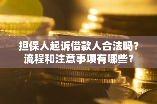 北京担保人起诉借款人合法吗？流程和注意事项有哪些？