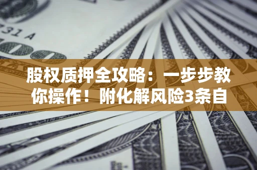 北京股权质押全攻略：一步步教你操作！附化解风险3条自救法则
