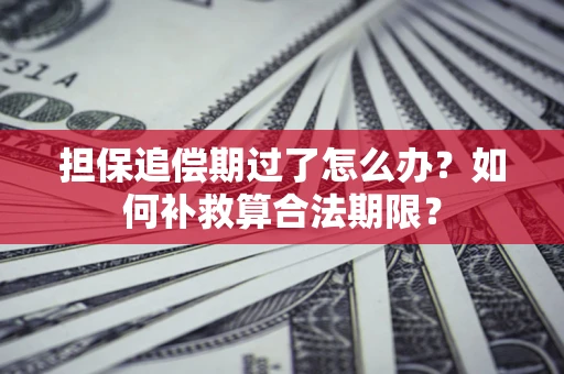 北京担保追偿期过了怎么办？如何补救算合法期限？