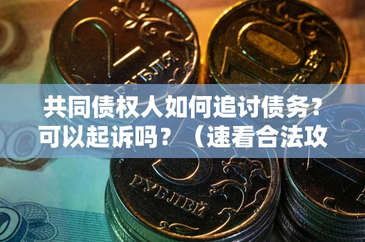 北京共同债权人如何追讨债务？可以起诉吗？（速看合法攻略）