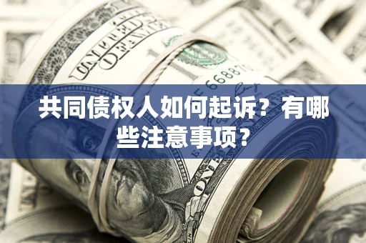 北京共同债权人如何起诉？有哪些注意事项？